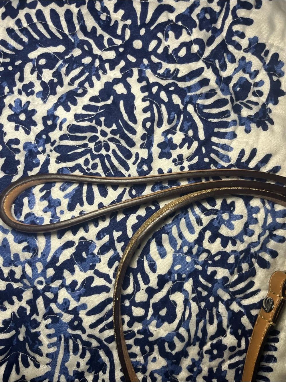 Coach premium leash